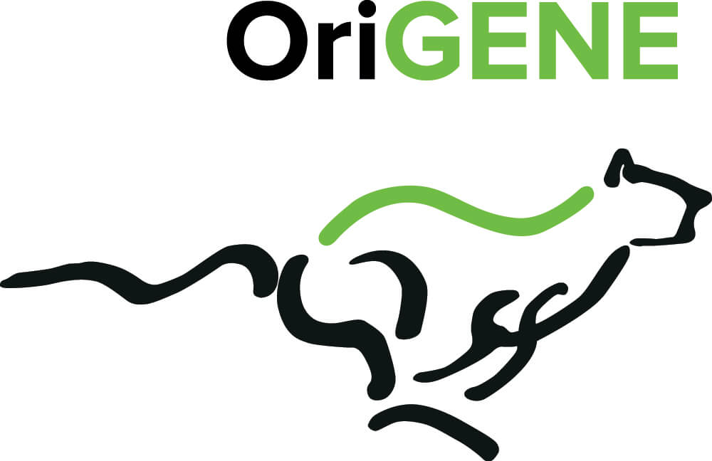 OriGENE Concepts BV