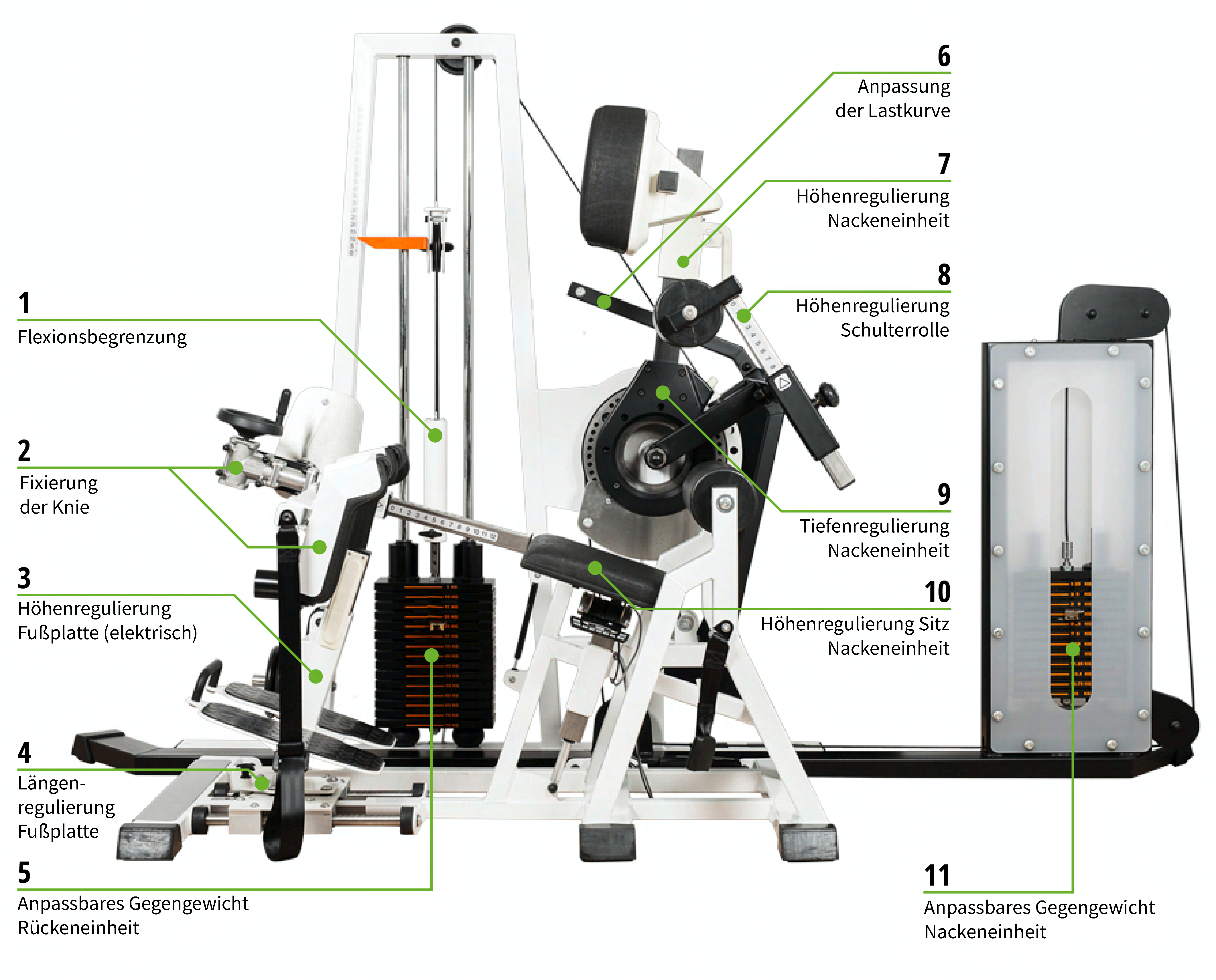 OriGENE1